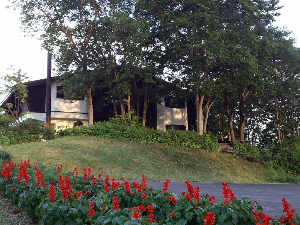 Alp Bach Madarao Vila Iiyama Exterior foto